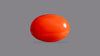 Japanese Red Coral 6.26 Carats / 6.88 Ratti