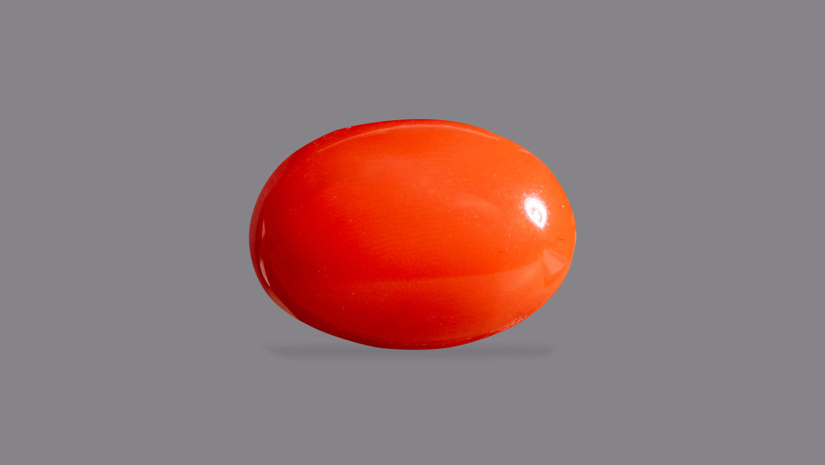 Japanese Red Coral 6.26 Carats / 6.88 Ratti