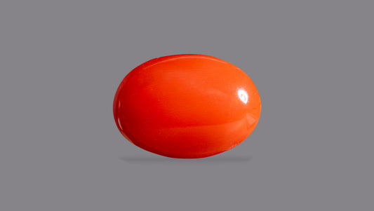 Japanese Red Coral 6.26 Carats / 6.88 Ratti