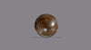 Basra Pearl 5.92 Carats / 6.51 Ratti