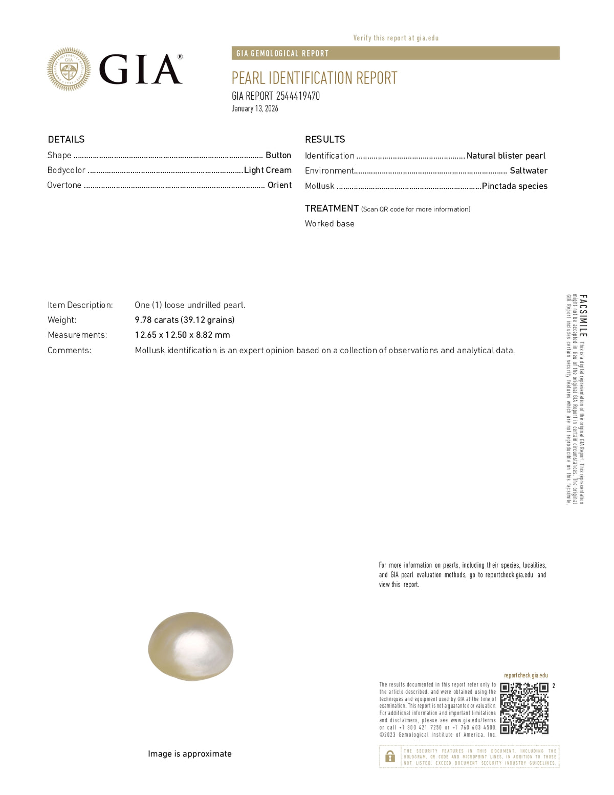 Basra Pearl 9.78 Carats / 10.75 Ratti
