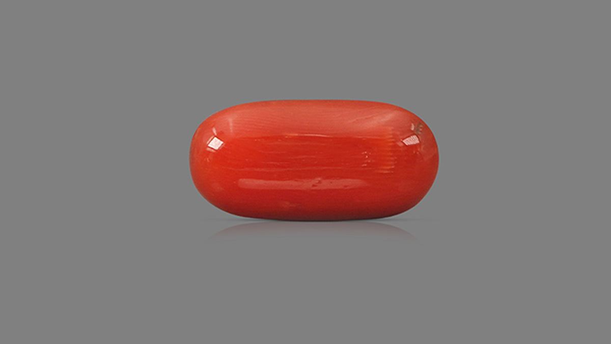Italian Red Coral 14.19 Carats / 15.59 Ratti