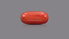 Italian Red Coral 15.82 Carats / 17.38 Ratti