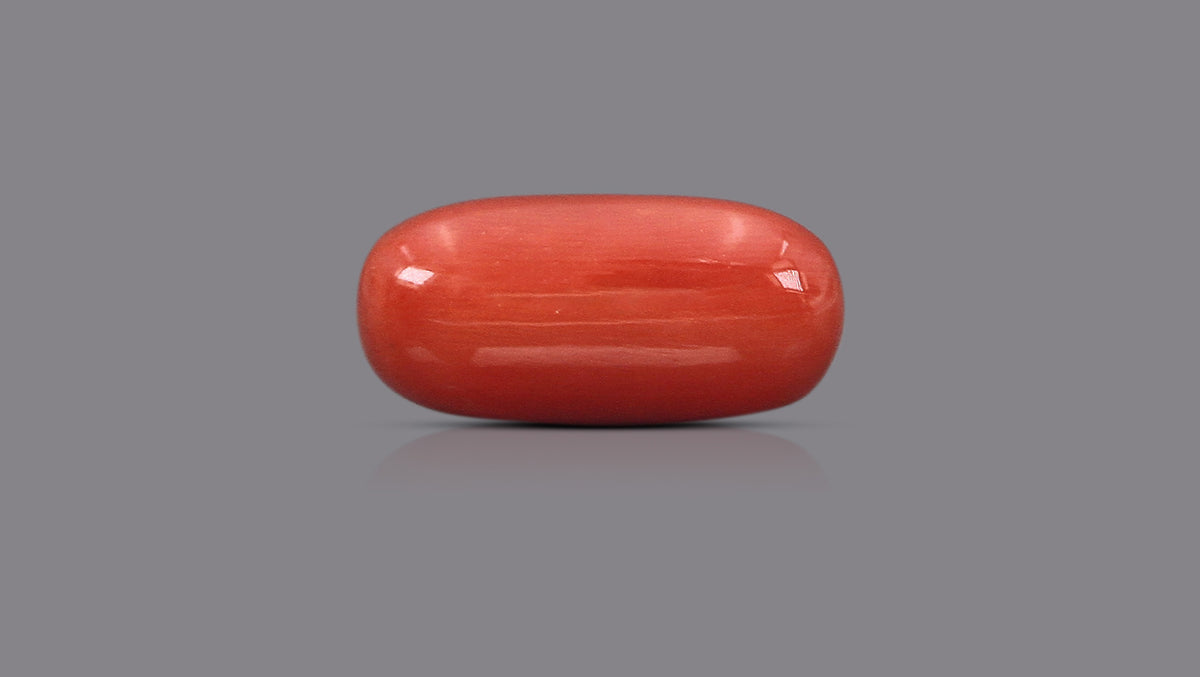 Italian Red Coral 15.82 Carats / 17.38 Ratti
