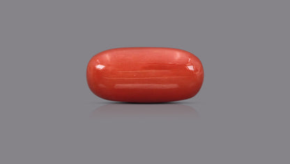 Italian Red Coral 15.82 Carats / 17.38 Ratti