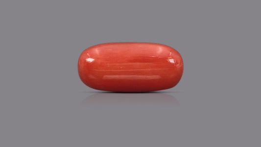 Italian Red Coral 15.82 Carats / 17.38 Ratti