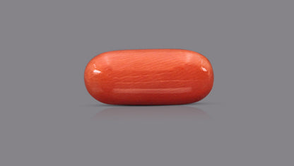Italian Red Coral 9.16 Carats / 10.07 Ratti