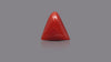 Italian Red Coral 6.31 Carats / 6.93 Ratti