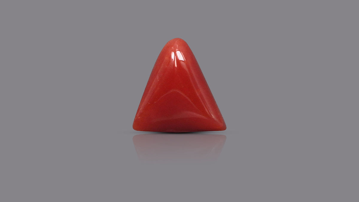 Italian Red Coral 6.31 Carats / 6.93 Ratti
