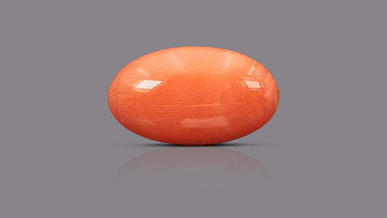 Japanese Red Coral 10.53 Carats / 11.57 Ratti