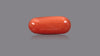 Italian Red Coral 9.72 Carats / 10.68 Ratti