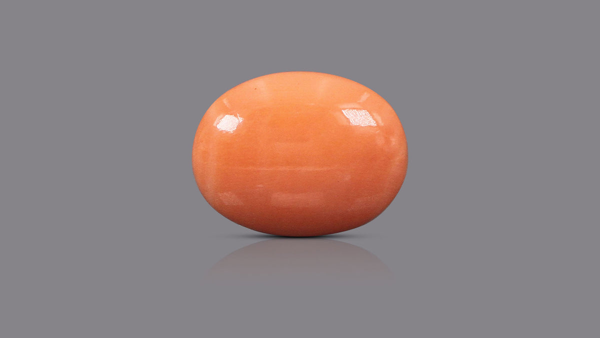 Japanese Red Coral 16.14 Carats / 17.74 Ratti