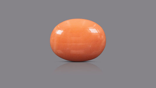 Japanese Red Coral 16.14 Carats / 17.74 Ratti