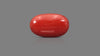 Italian Red Coral 10.46 Carats / 11.49 Ratti