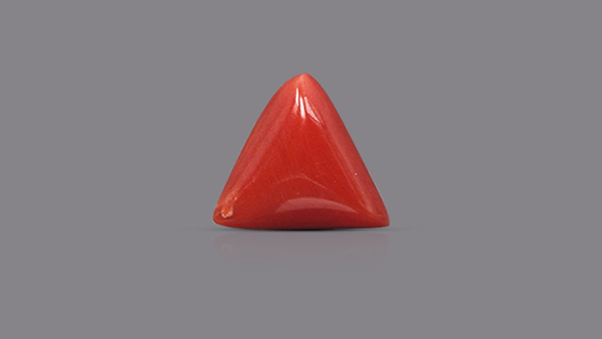 Italian Red Coral 5.74 Carats / 6.31 Ratti