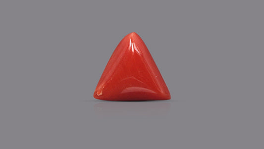 Italian Red Coral 5.74 Carats / 6.31 Ratti