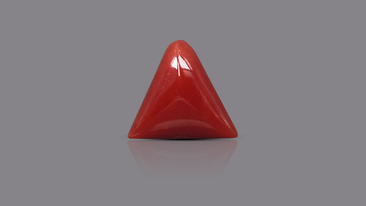 Italian Red Coral 5.65 Carats / 6.21 Ratti