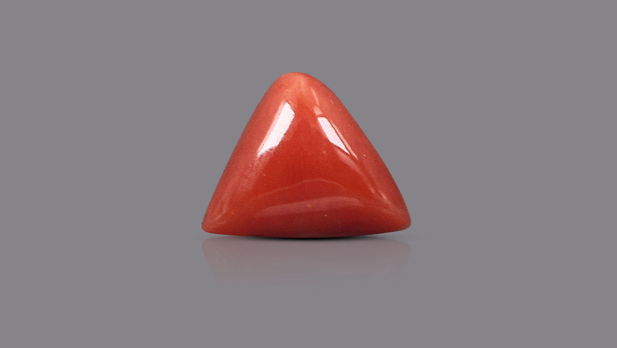 Italian Red Coral 5.92 Carats / 6.51 Ratti