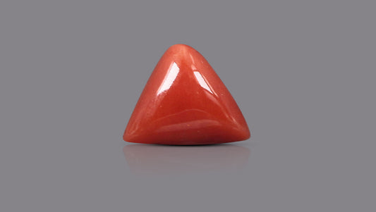 Italian Red Coral 5.92 Carats / 6.51 Ratti