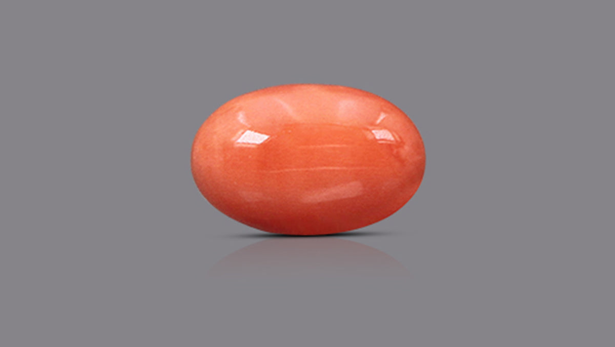 Japanese Red Coral 6.08 Carats / 6.68 Ratti
