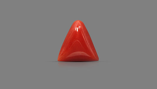 Italian Red Coral 6.26 Carats / 6.88 Ratti