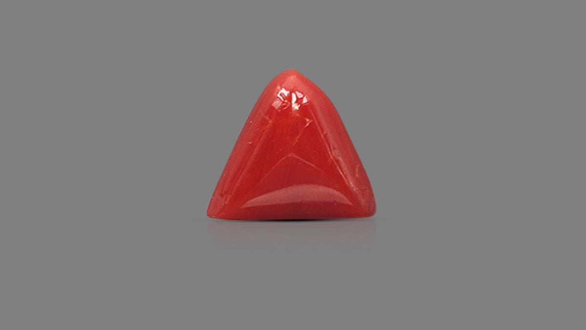 Italian Red Coral 6.07 Carats / 6.67 Ratti