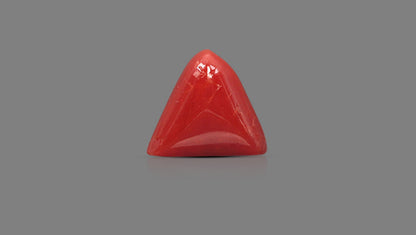 Italian Red Coral 6.07 Carats / 6.67 Ratti