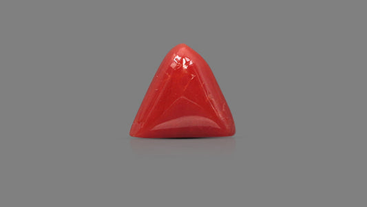 Italian Red Coral 6.07 Carats / 6.67 Ratti