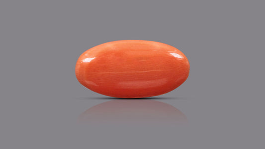 Japanese Red Coral 5.85 Carats / 6.43 Ratti