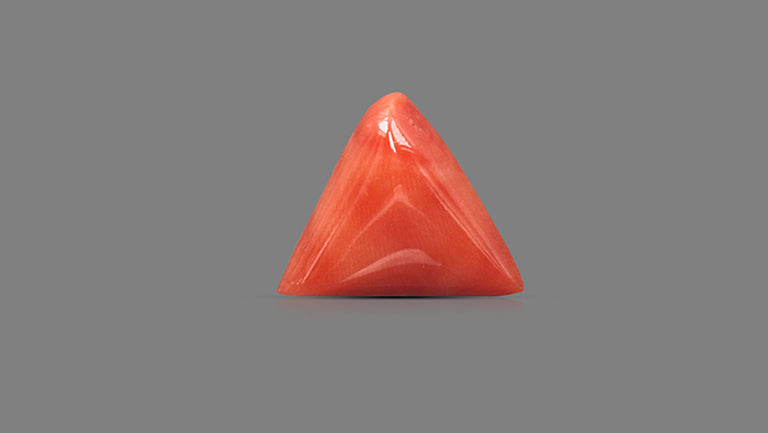 Italian Red Coral 12.08 Carats / 13.27 Ratti