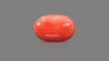 Italian Red Coral 11.64 Carats / 12.79 Ratti