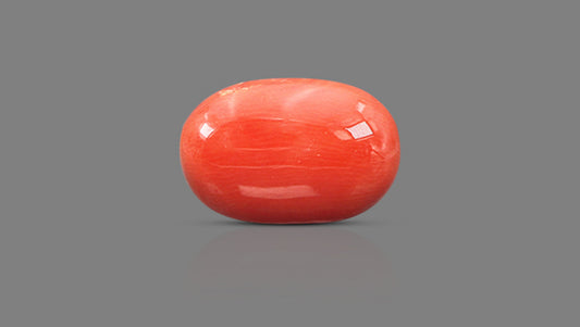 Italian Red Coral 11.64 Carats / 12.79 Ratti