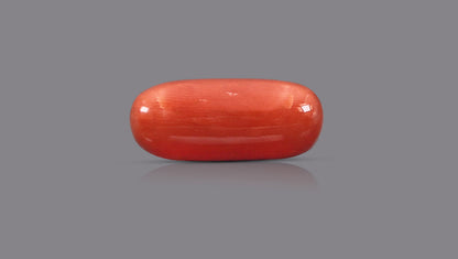 Italian Red Coral 12.02 Carats / 13.21 Ratti