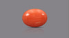 Japanese Red Coral 18.41 Carats / 20.23 Ratti