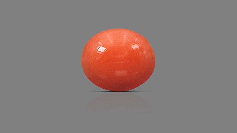 Japanese Red Coral 4.89 Carats / 5.37 Ratti