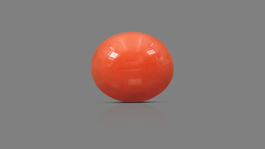 Japanese Red Coral 4.89 Carats / 5.37 Ratti