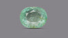 Columbian Emerald (Panna) 6.68 Carats / 7.34 Ratti