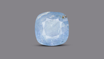 Natural Blue Sapphire 6.63 Carats / 7.29 Ratti