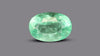 Columbian Emerald (Panna) 7.50 Carats / 8.24 Ratti