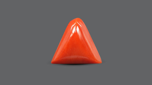 Italian Red Coral 6.43 Carats / 7.07 Ratti