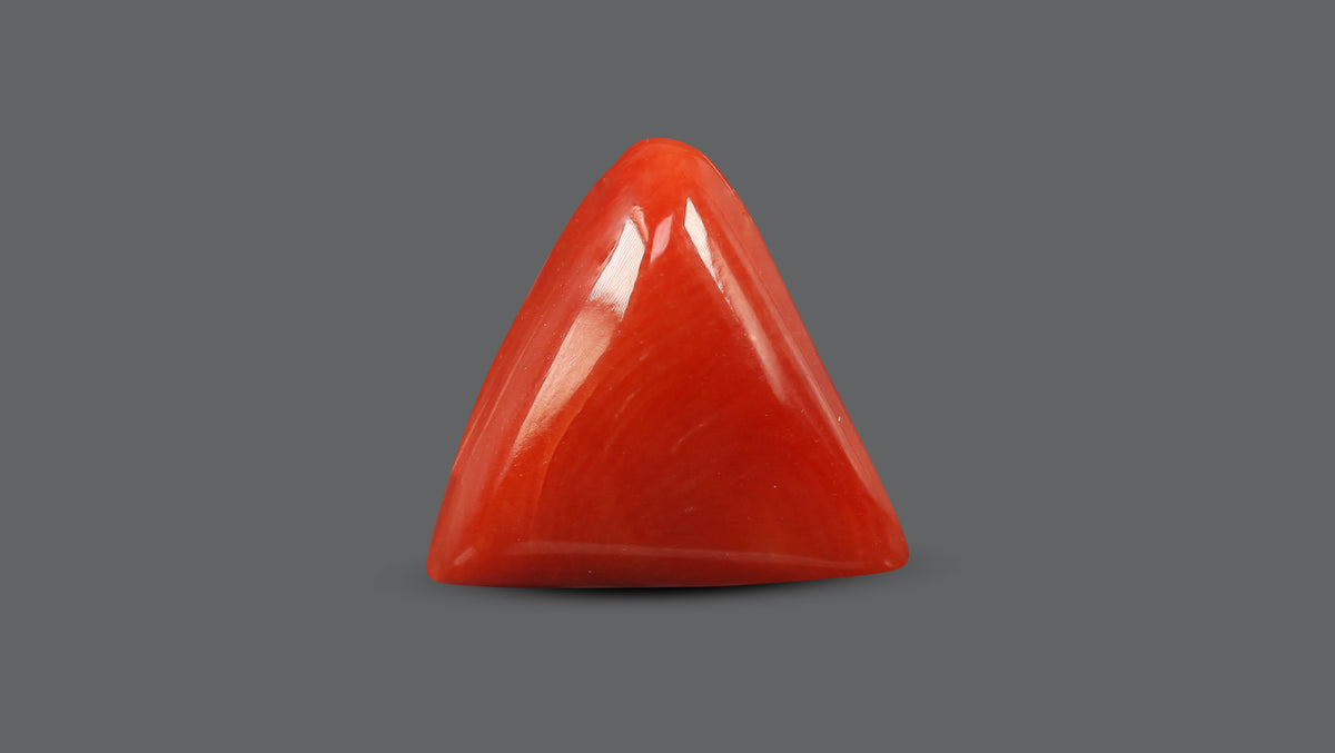 Italian Red Coral 5.84 Carats / 6.42 Ratti