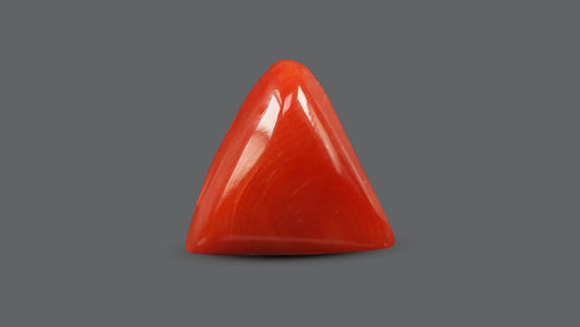 Italian Red Coral 5.84 Carats / 6.42 Ratti