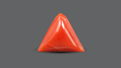 Italian Red Coral 5.67 Carats / 6.23 Ratti