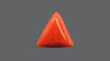 Italian Red Coral 6.65 Carats / 7.31 Ratti