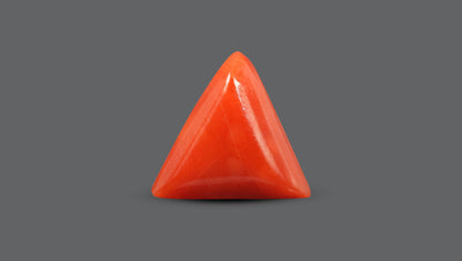 Italian Red Coral 6.65 Carats / 7.31 Ratti