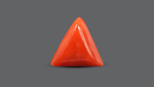 Italian Red Coral 6.65 Carats / 7.31 Ratti