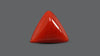 Italian Red Coral 5.68 Carats / 6.24 Ratti