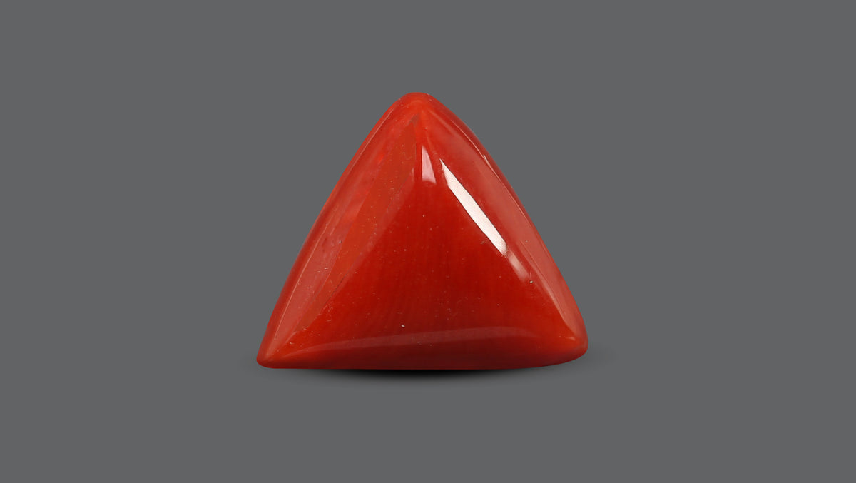 Italian Red Coral 5.68 Carats / 6.24 Ratti