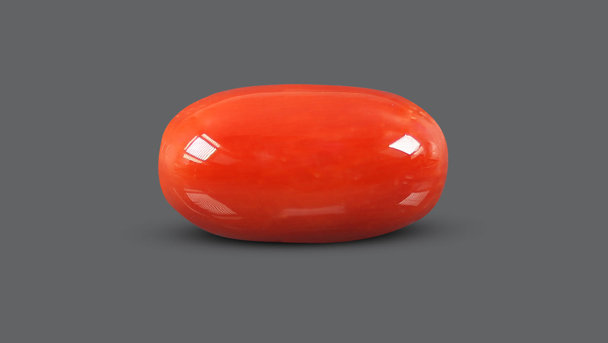 Italian Red Coral 9.52 Carats / 10.46 Ratti