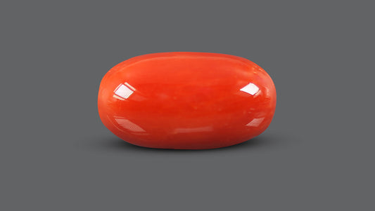 Italian Red Coral 9.52 Carats / 10.46 Ratti